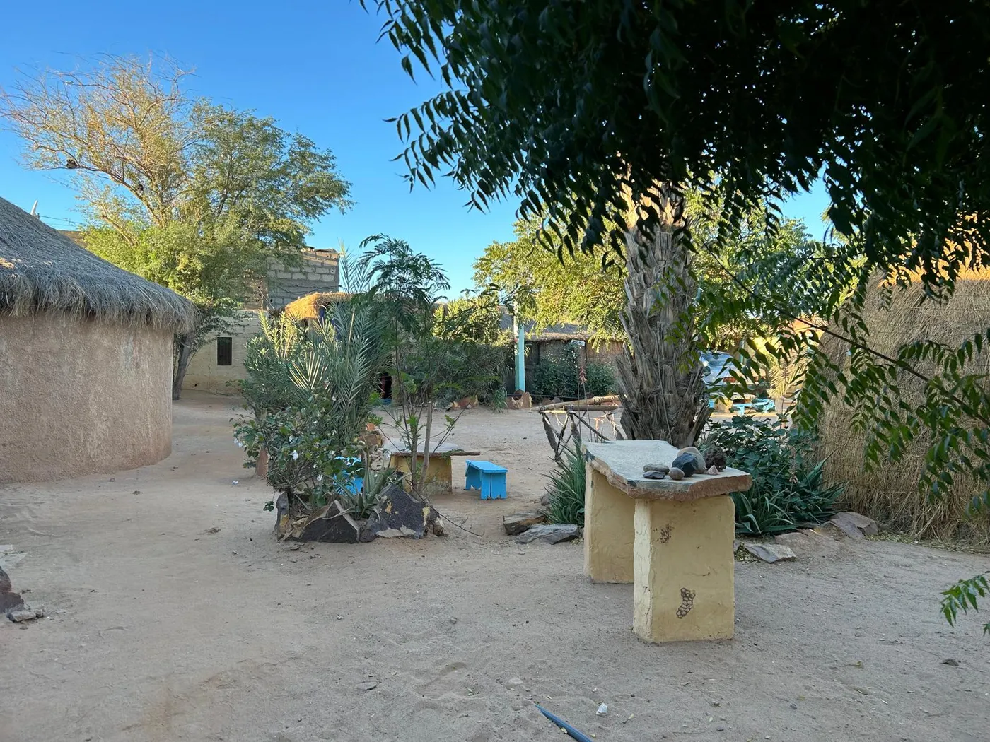 Jardin et cases au soleil du matin