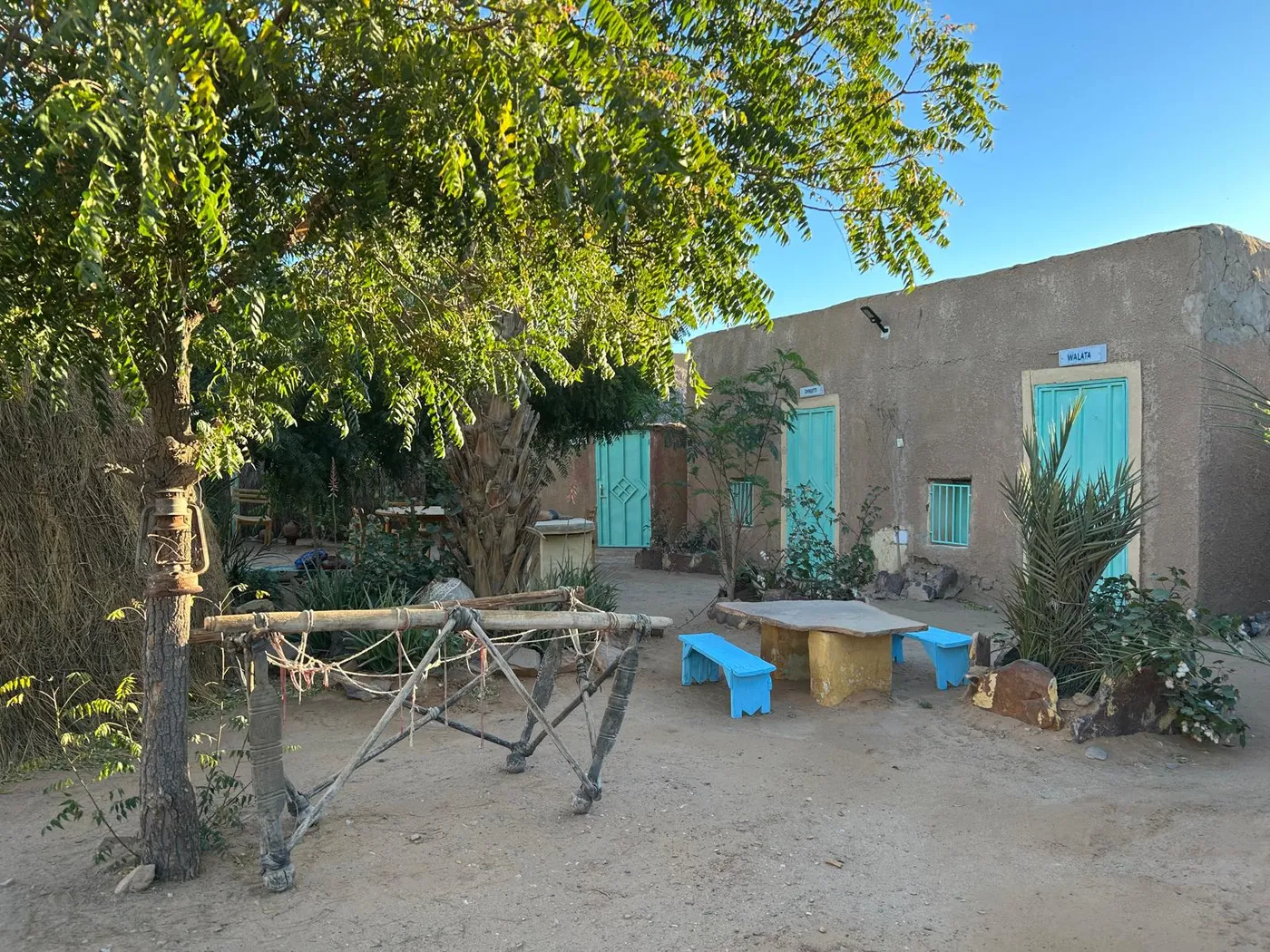 Arbres et cases dans le jardin