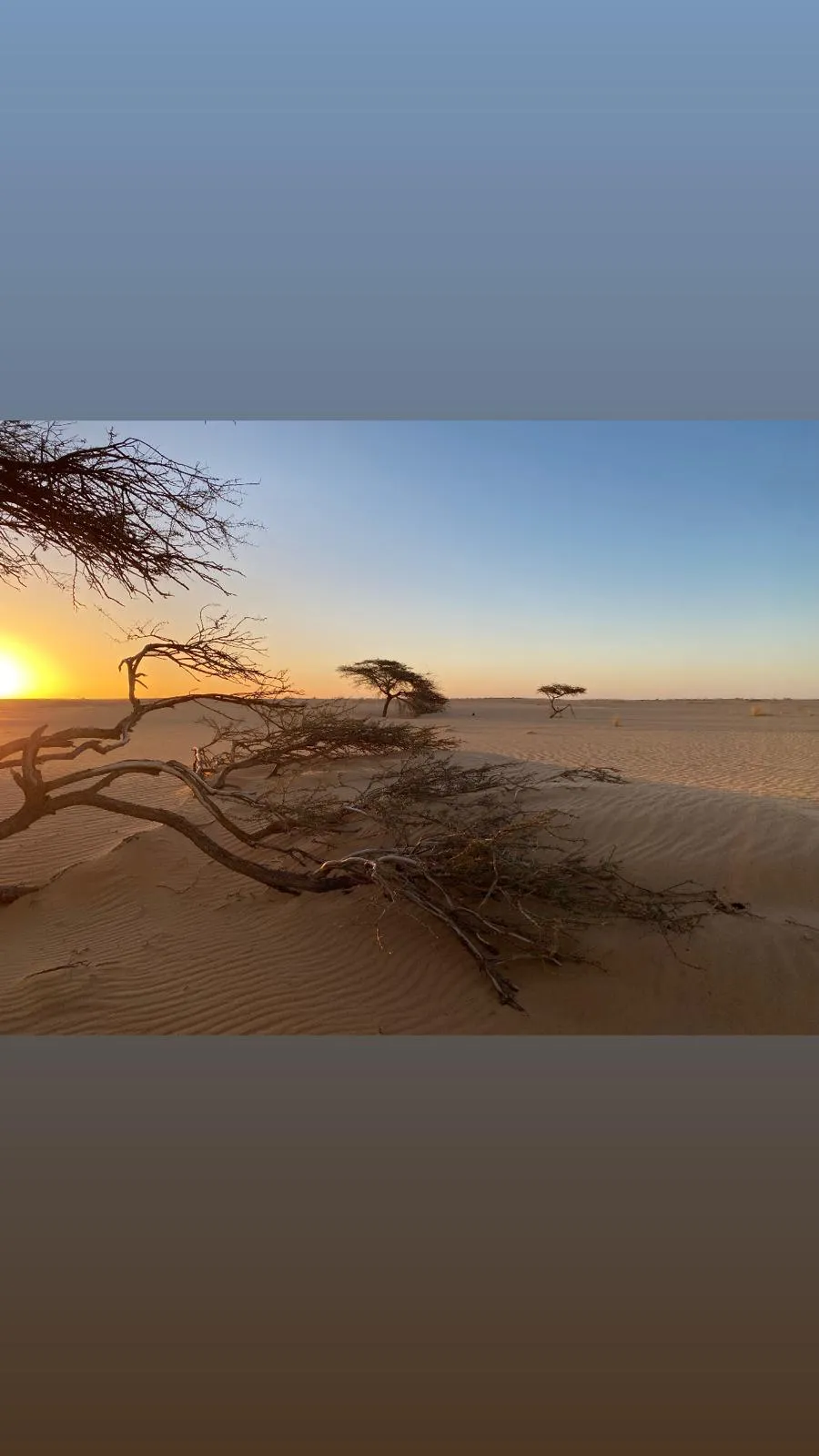Coucher de soleil sur le désert près d’Atar